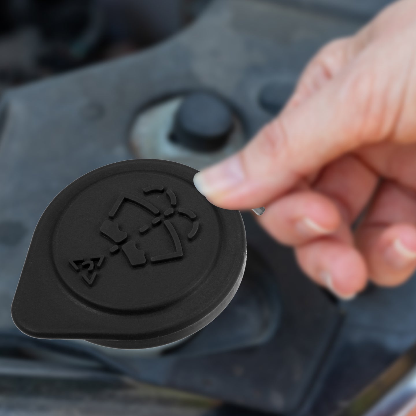 Alt text.