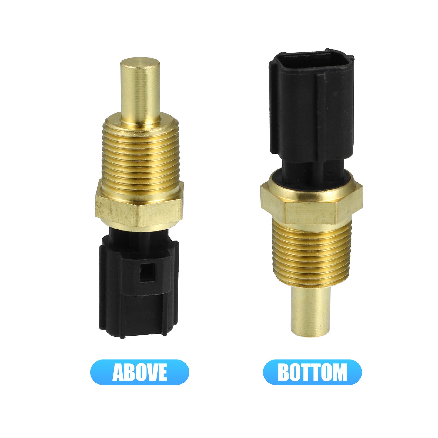 Alt text.