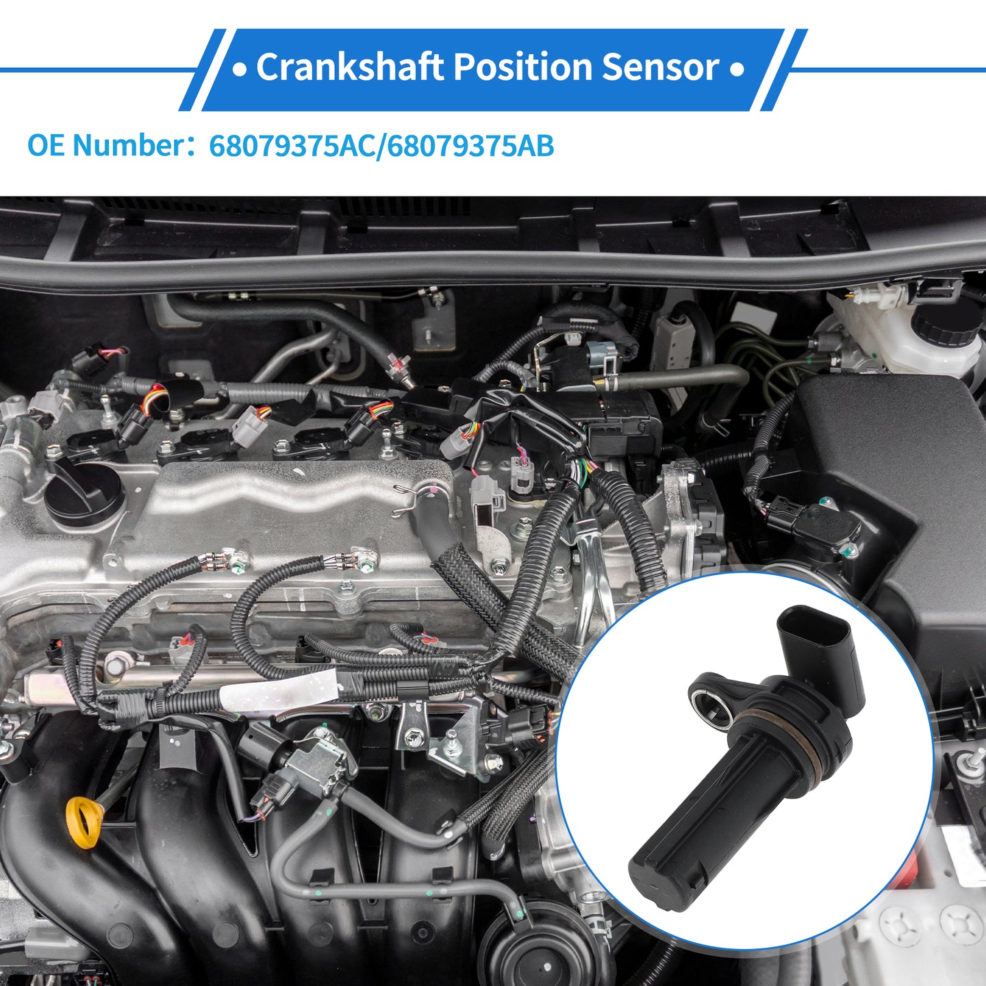 Alt text.