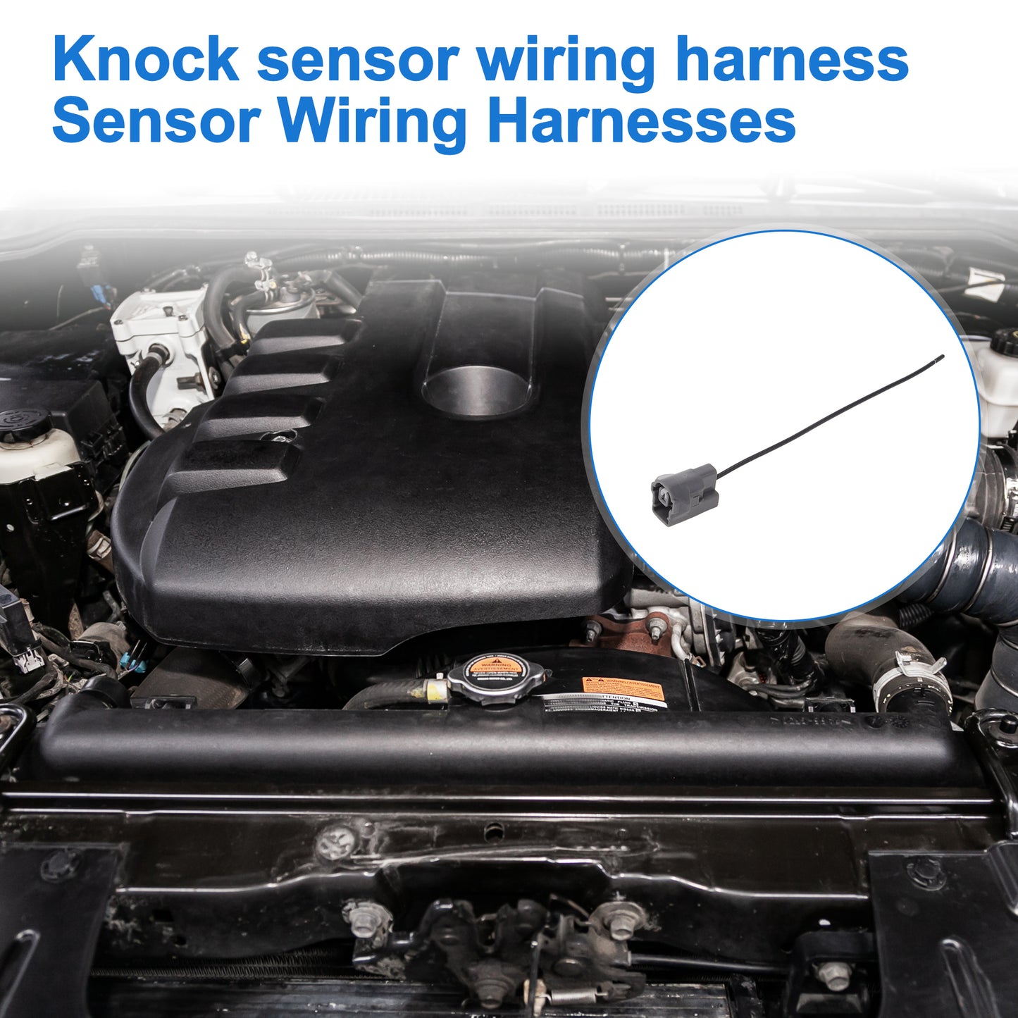 Alt text.