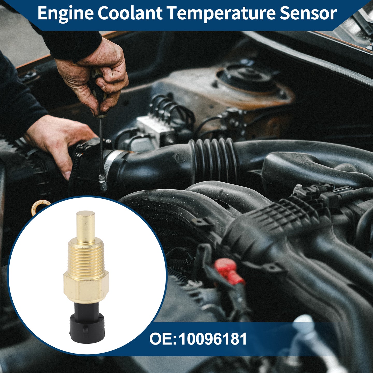Alt text.