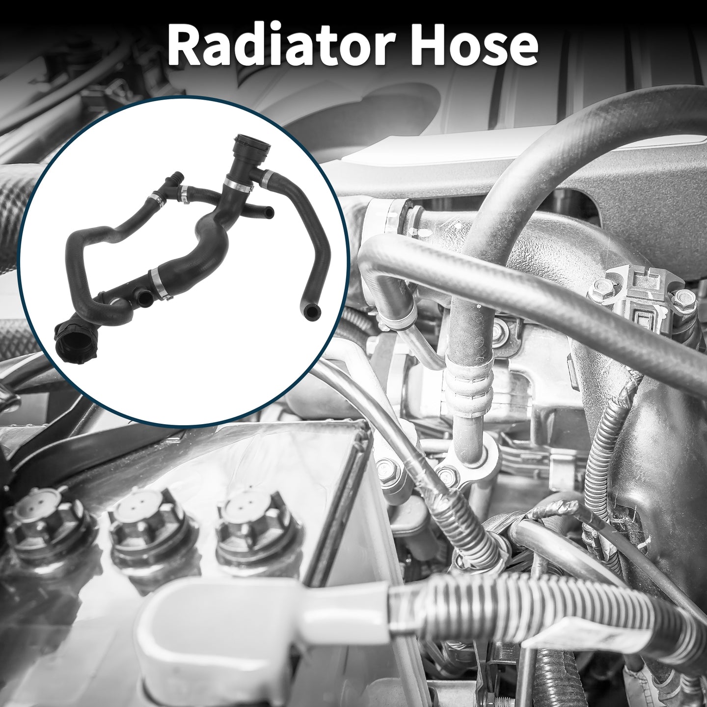 Alt text.
