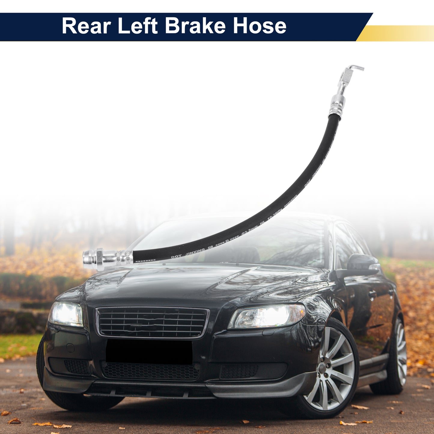 Alt text.