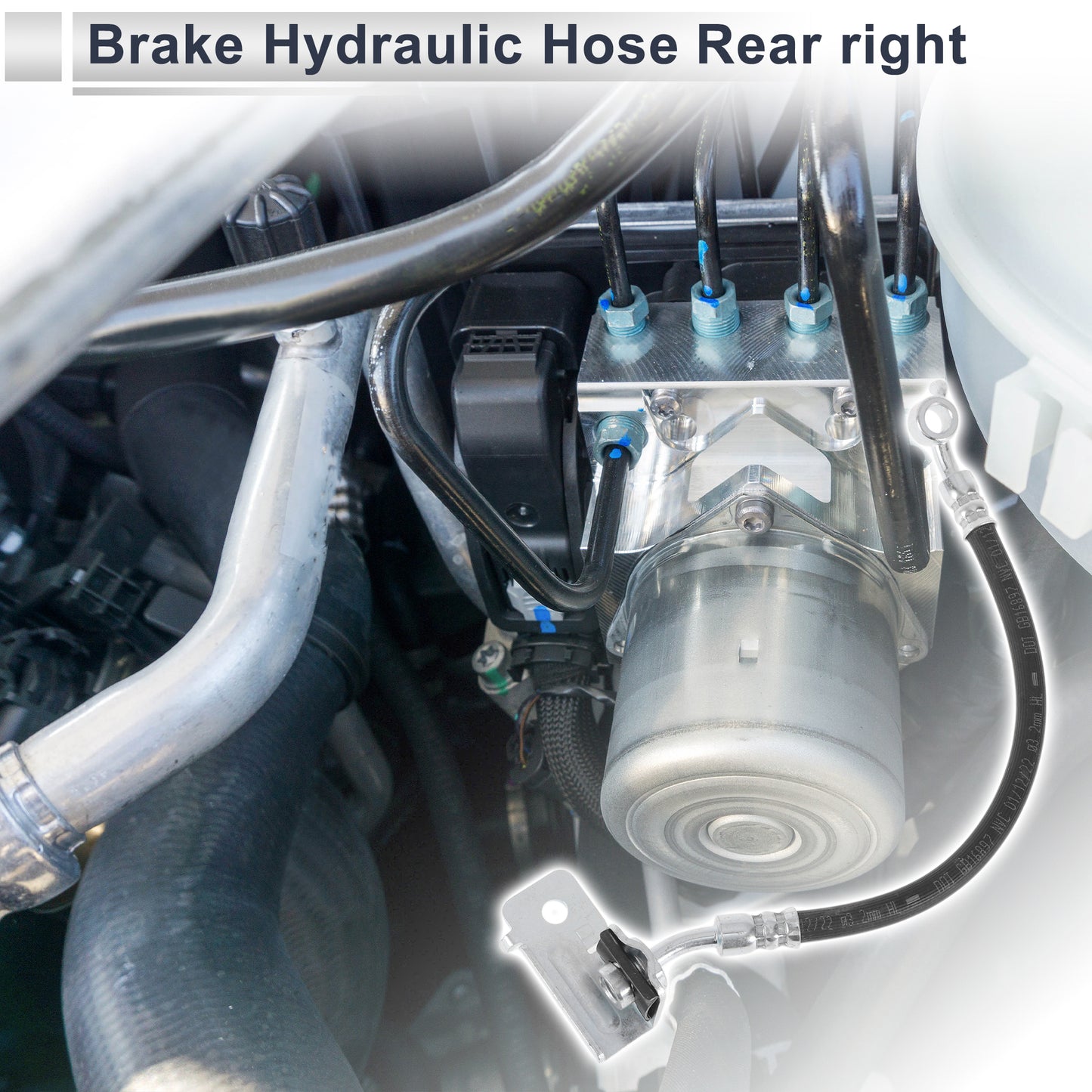 Alt text.