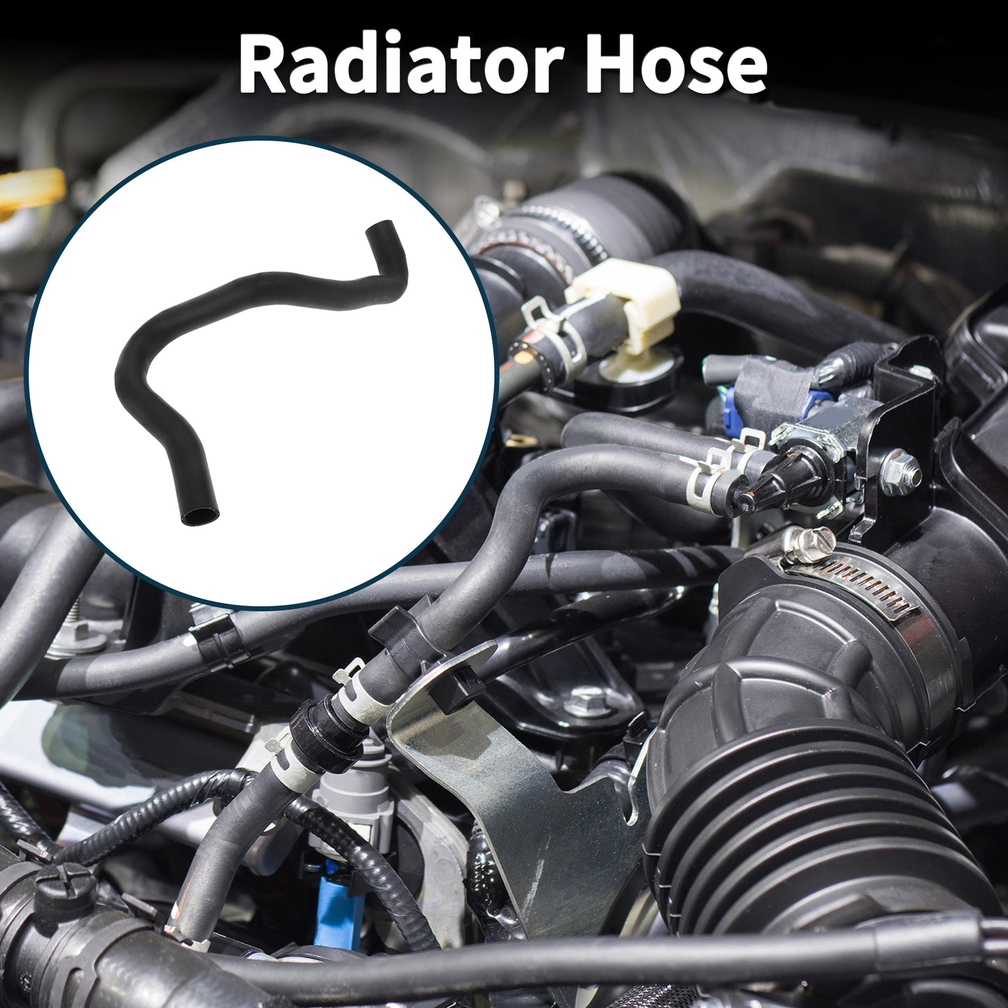 Alt text.