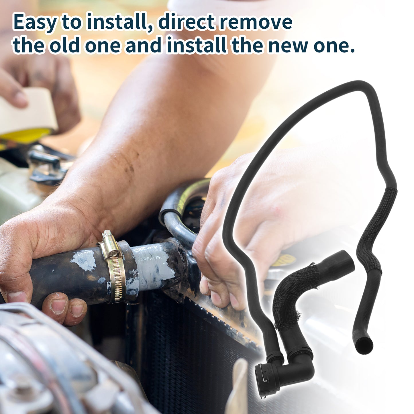 Alt text.