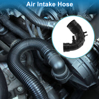 Alt text.
