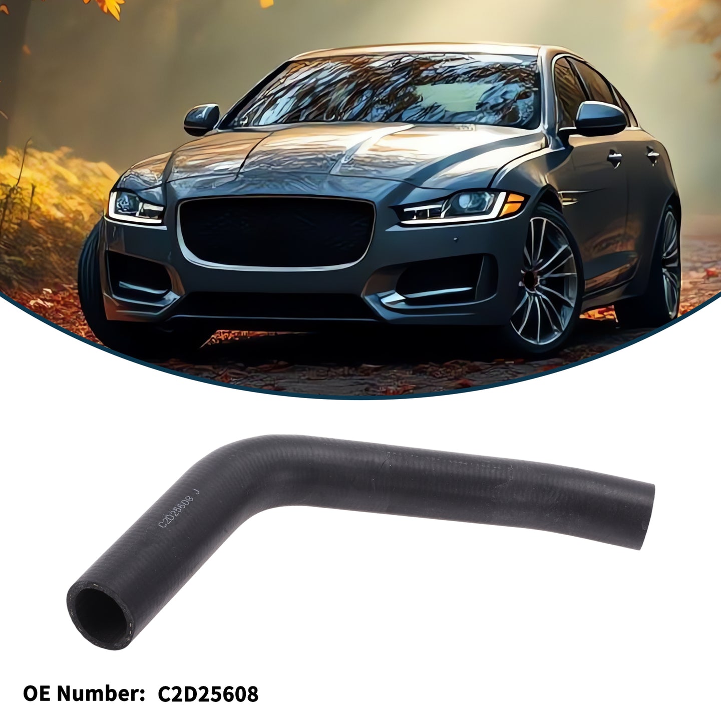 Alt text.