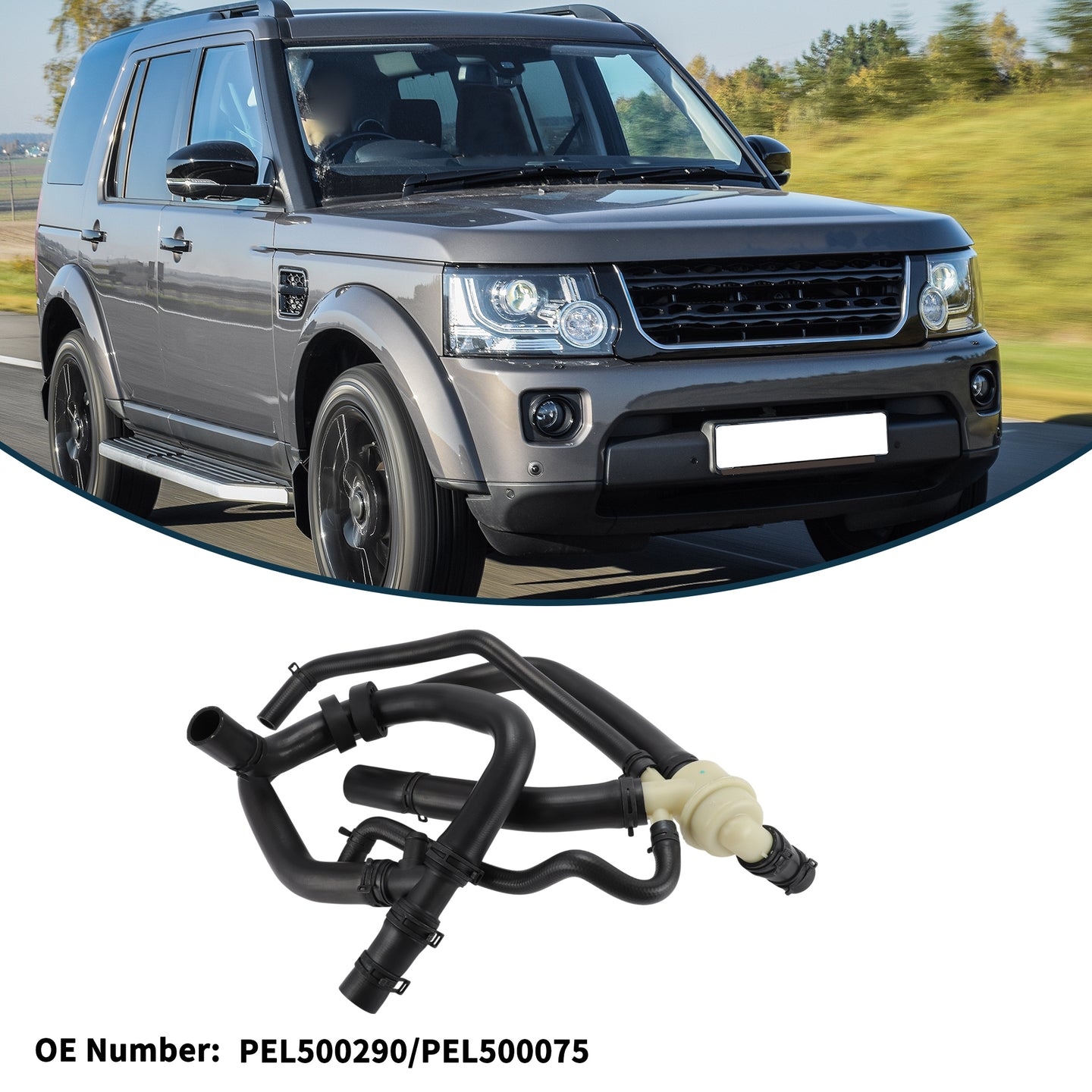Alt text.