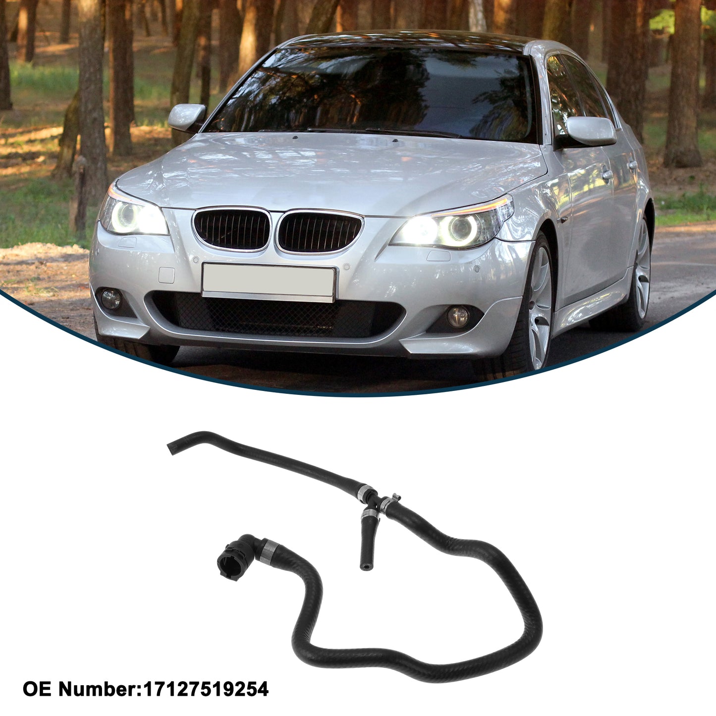 Alt text.