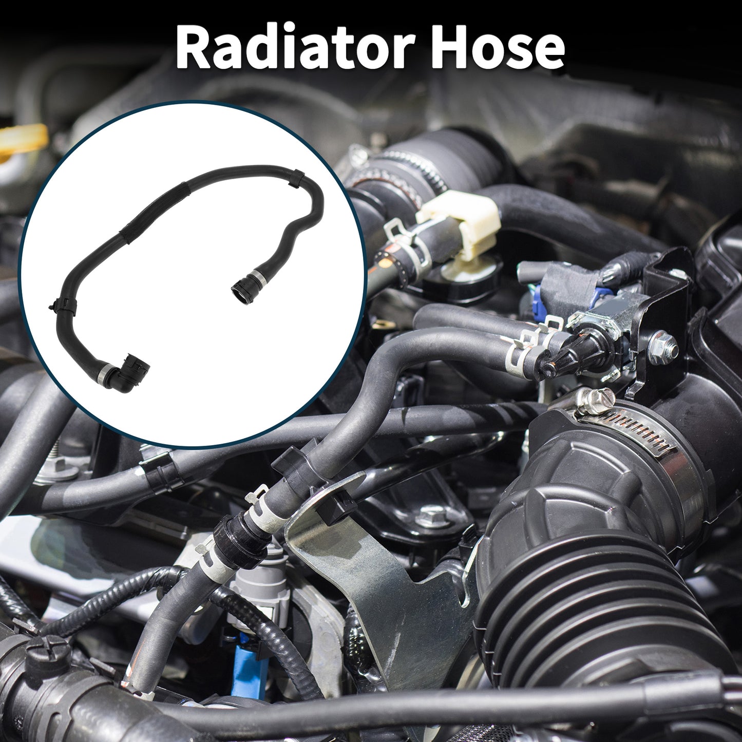 Alt text.