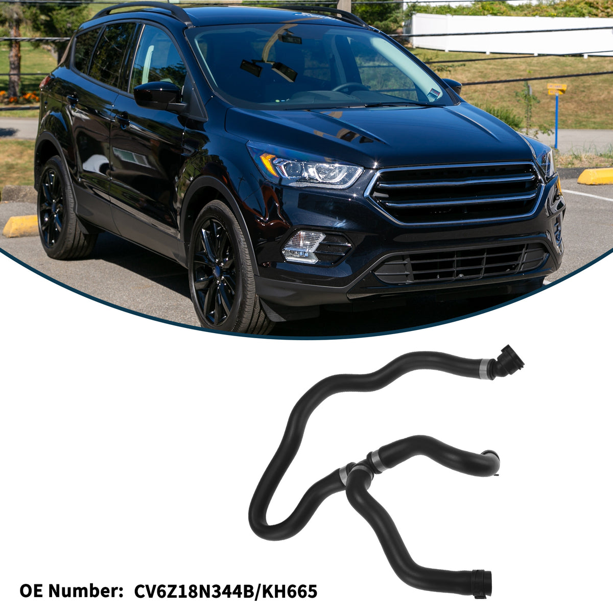 Alt text.