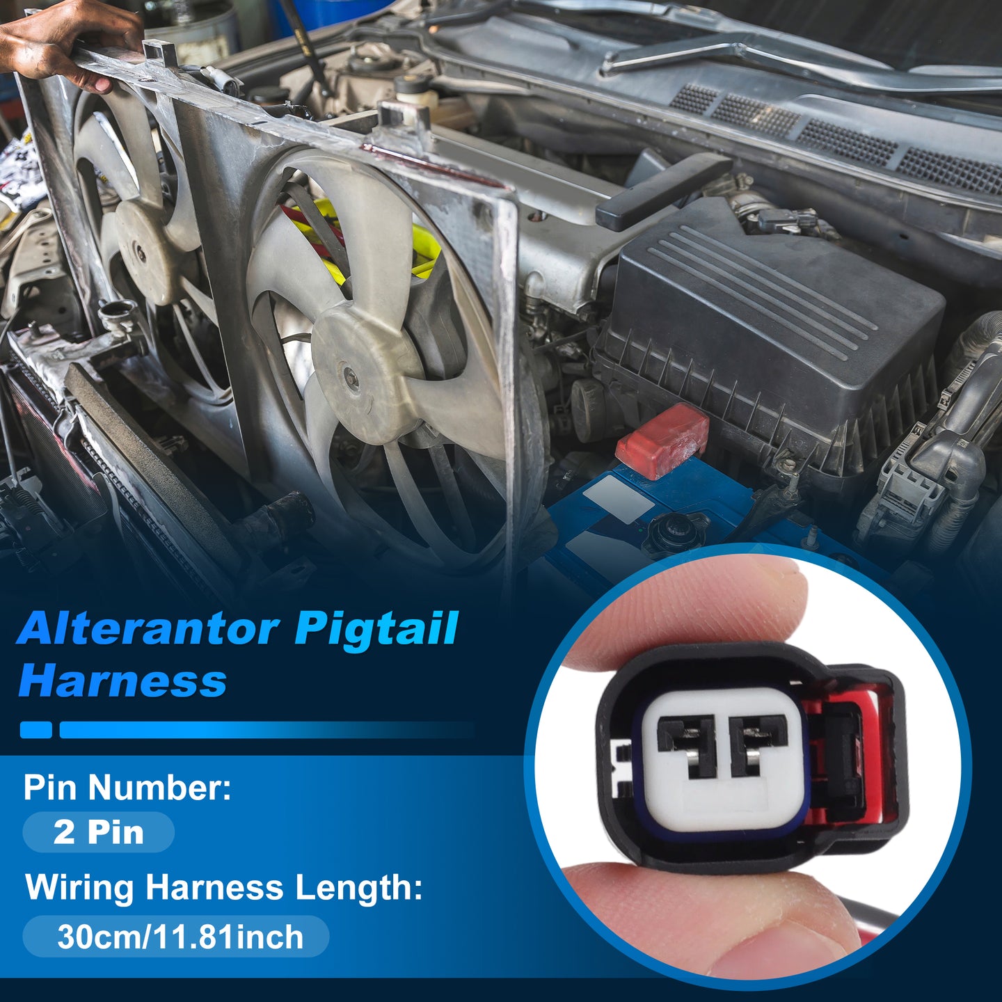 Alt text.