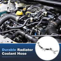 Alt text.